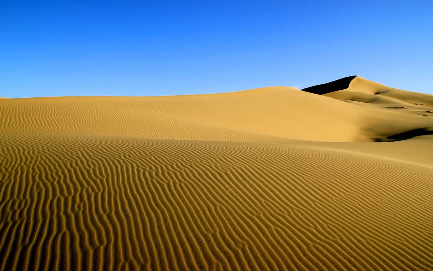 Mongolia Gobi Desert