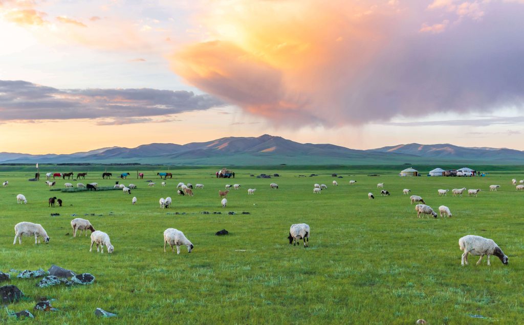 Gobi desert & Central Mongolia