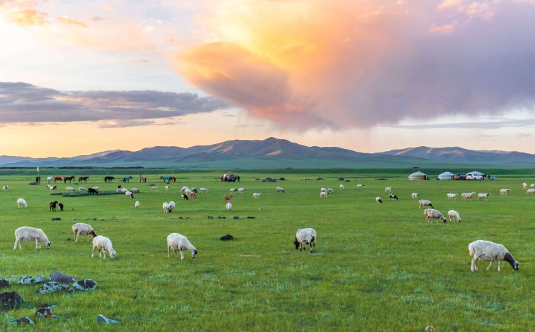Gobi desert & Central Mongolia