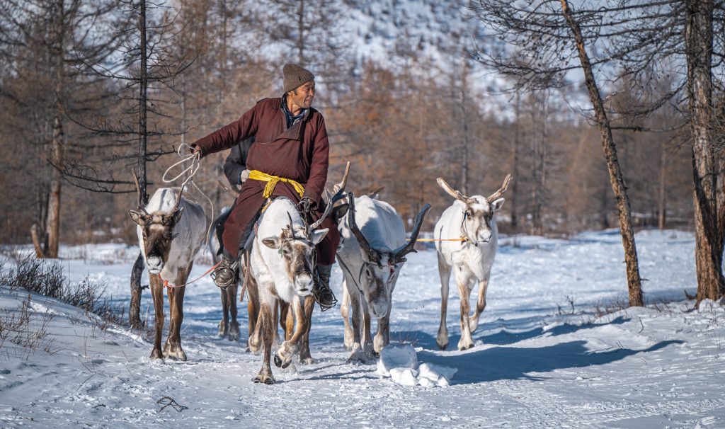 Winter Reindeer Herders Tour