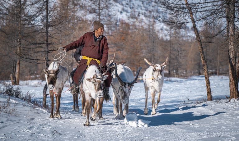 Winter Reindeer Herders Tour