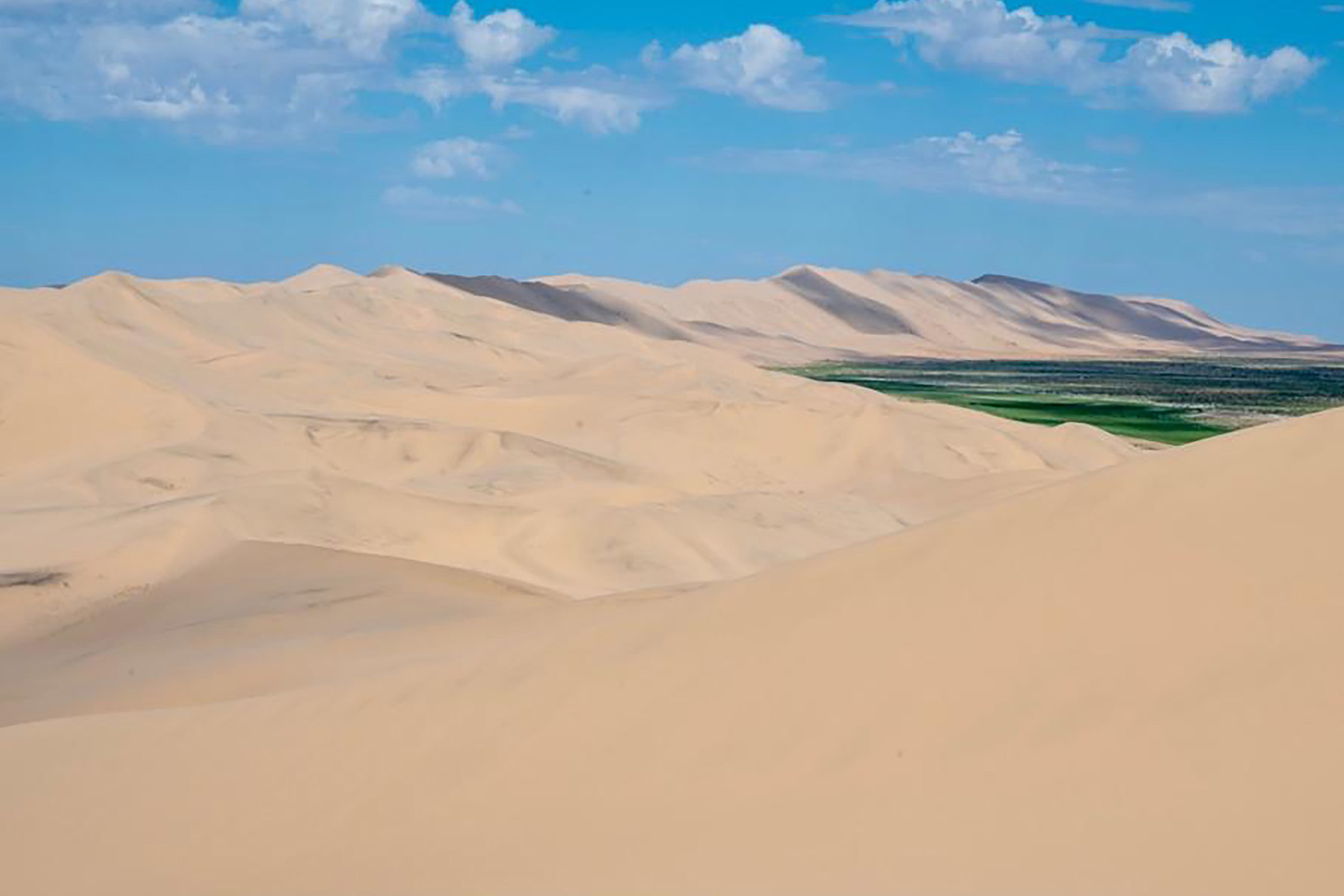 Khongor Sand Dune