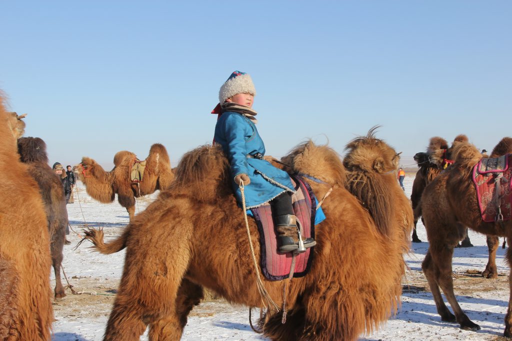 Ten Thousand Camel Festival Tour